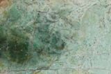 Polished Fuchsite Chert (Dragon Stone) End Cut - Australia #89984-1